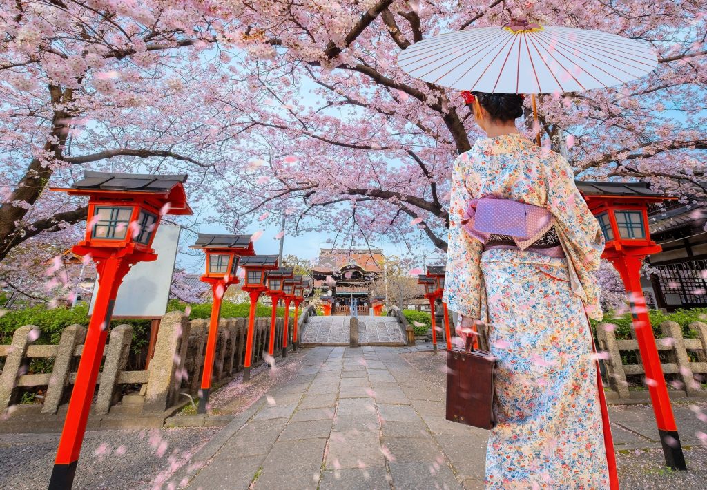 ΑΥΤΟΚΡΑΤΟΡΙΚΗ ΙΑΠΩΝΙΑ (ανθισμένες κερασιές)